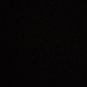 Meet your Posher, Callie